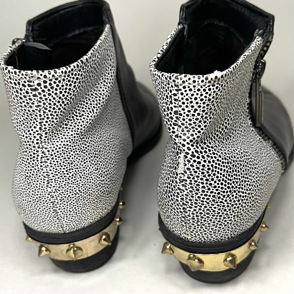 Meet your Posher, Roxy - Picture 9 of 12